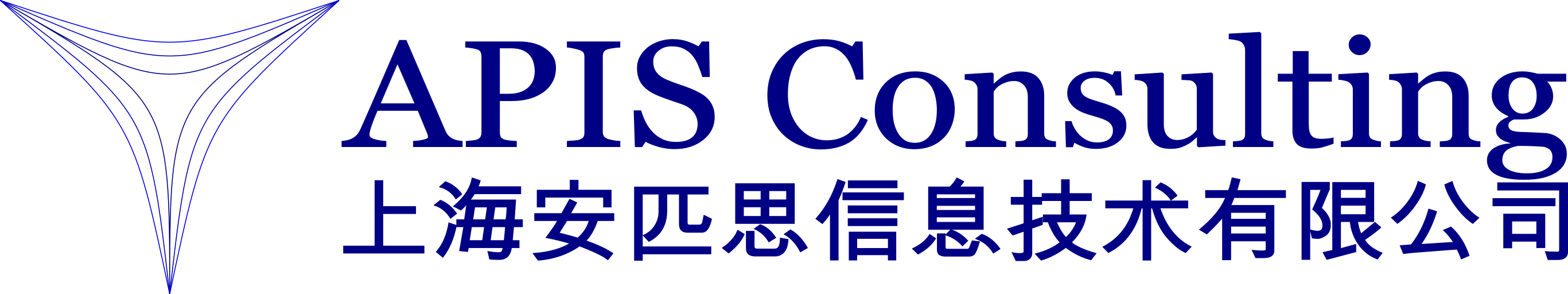 APIS Consulting (Shanghai) Ltd. Co. - 上海安匹思信息技术有限公司