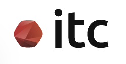 IT CONSULTIS